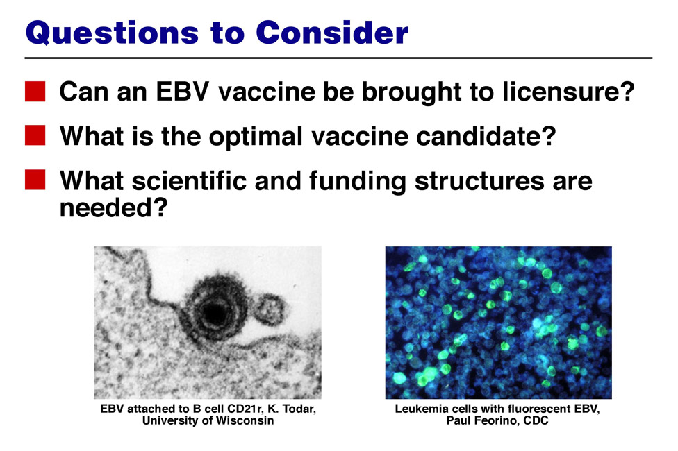ebv-vaccine